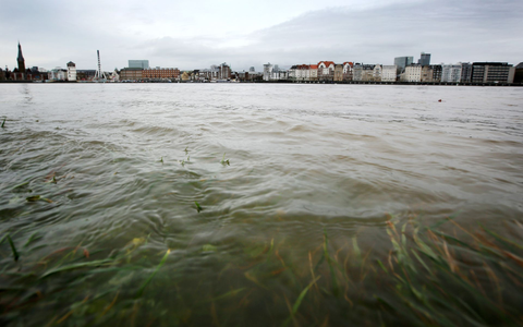Im Rhein schwimmt mehr Müll als angenommen. (Archivbild). - Foto: Martin Gerten/dpa