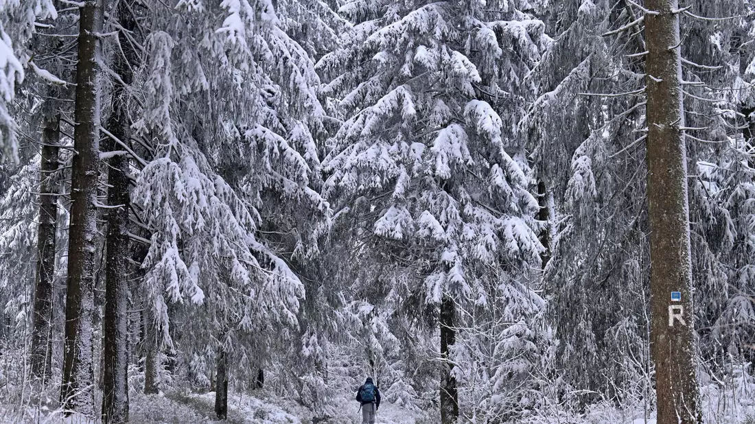 Manche genießen den Winterspaziergang, doch für andere ist die anhaltende Kälte eine enorme Belastung. - Bild: Martin Schutt/dpa