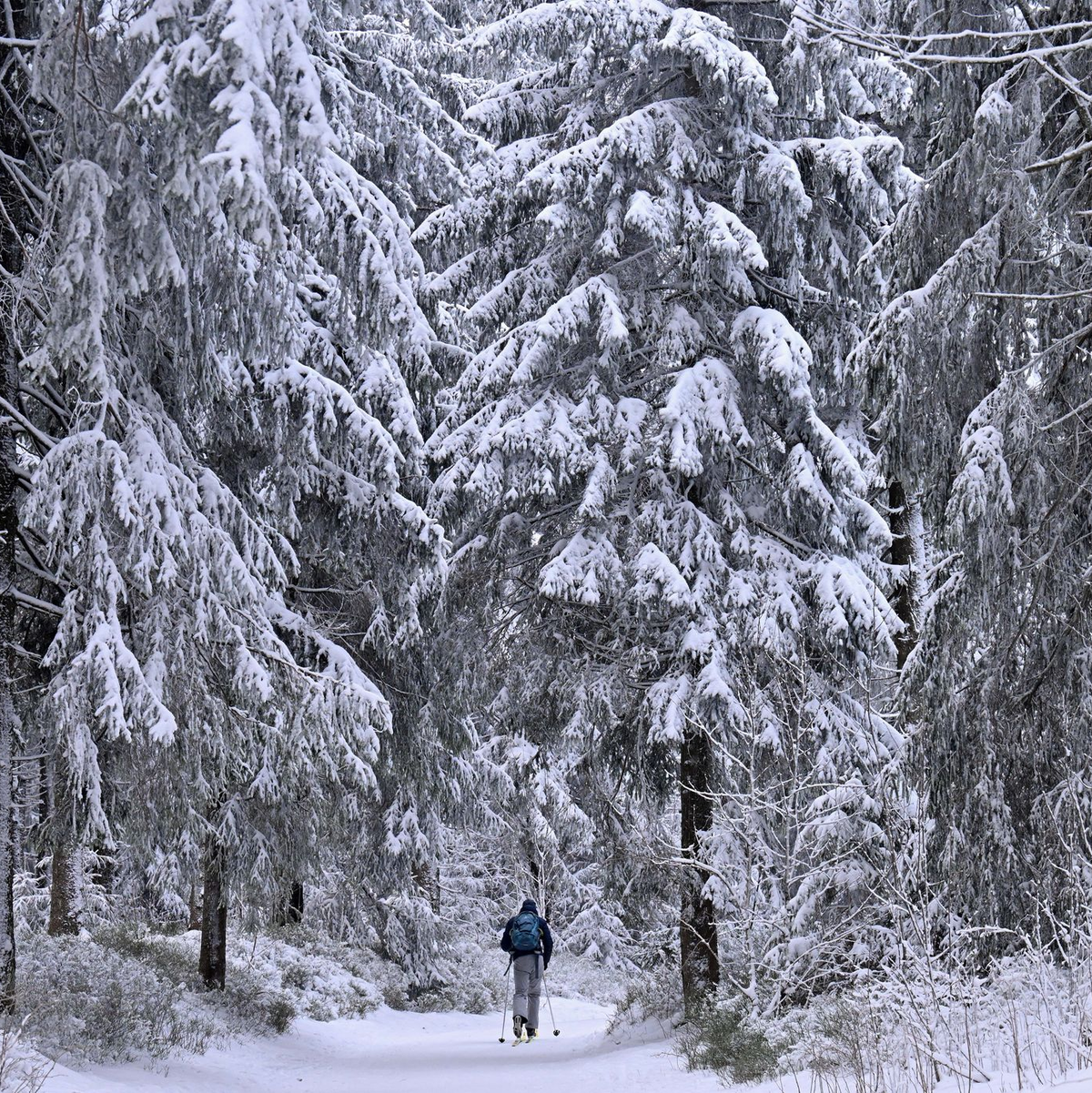 Manche genießen den Winterspaziergang, doch für andere ist die anhaltende Kälte eine enorme Belastung. - Foto: Martin Schutt/dpa