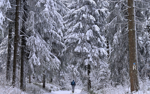 Manche genießen den Winterspaziergang, doch für andere ist die anhaltende Kälte eine enorme Belastung. - Foto: Martin Schutt/dpa