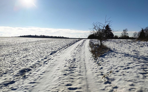 Schnee (Archiv) - Foto: via dts Nachrichtenagentur