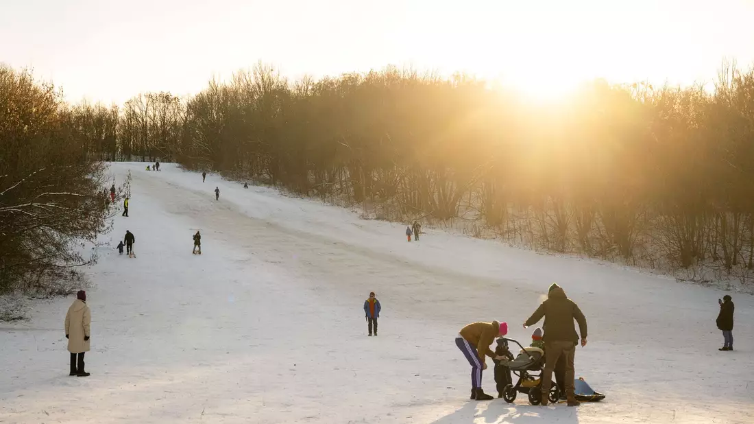 Das Winterwetter hat auch schöne Seiten - wie hier am Teufelsberg in Berlin. - Bild: Christophe Gateau/dpa