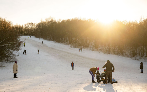 Das Winterwetter hat auch schöne Seiten - wie hier am Teufelsberg in Berlin. - Foto: Christophe Gateau/dpa