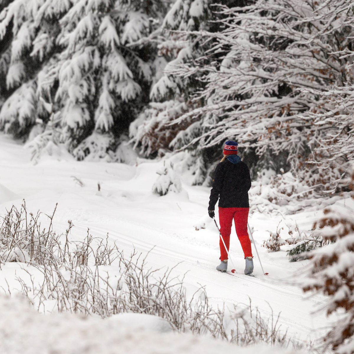 Wintersportler können sich derweil über die schönen Seiten der Jahreszeit freuen. - Foto: Michael Reichel/dpa