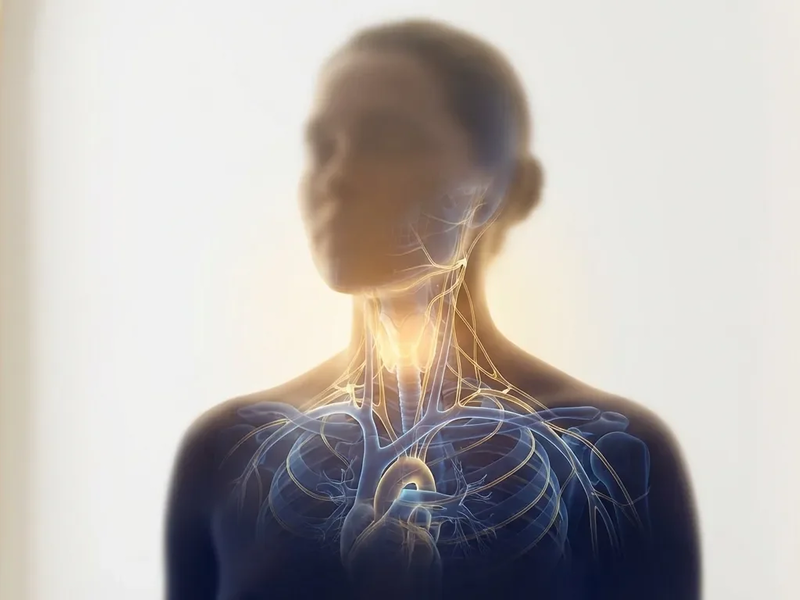 Yoga fürs Gehirn: So steigert Hals-Yoga die Konzentration - Foto: über boerse-global.de