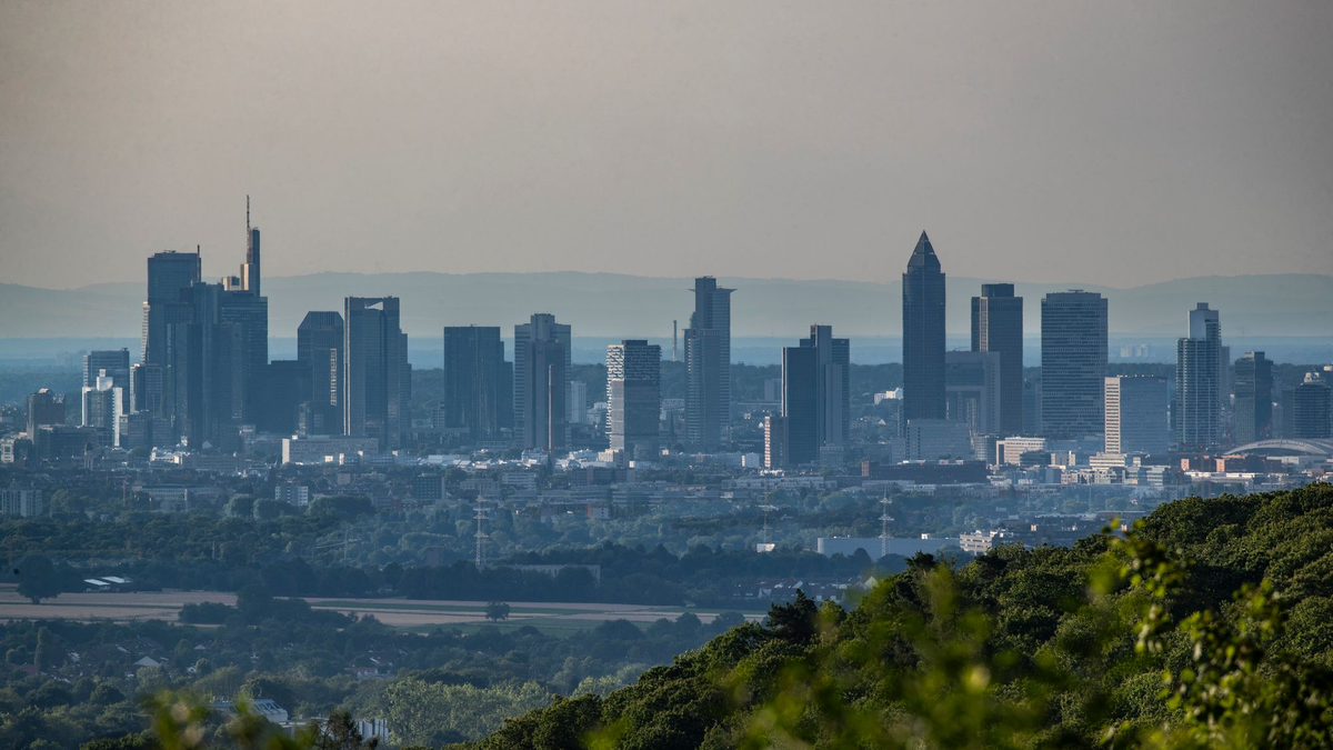Der Umweltverband WWF kritisiert Banken für fehlende Klimaschutzbemühungen - Foto: Helmut Fricke/dpa