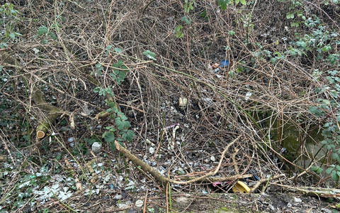 POL-PPMZ: Worms - Ermittlungen nach Knochenfund - Foto: presseportal.de