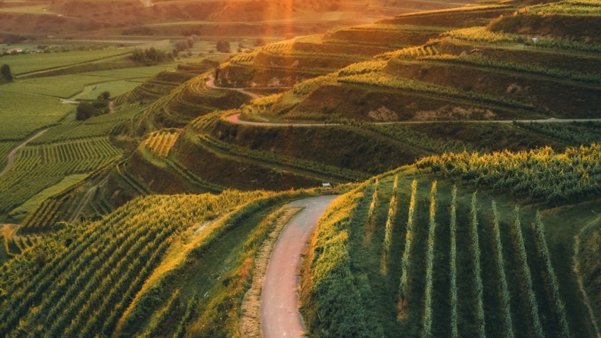 Sehnsuchtsorte im Süden: Erleben, wo Baden-Württemberg berührt - Foto: presseportal.de