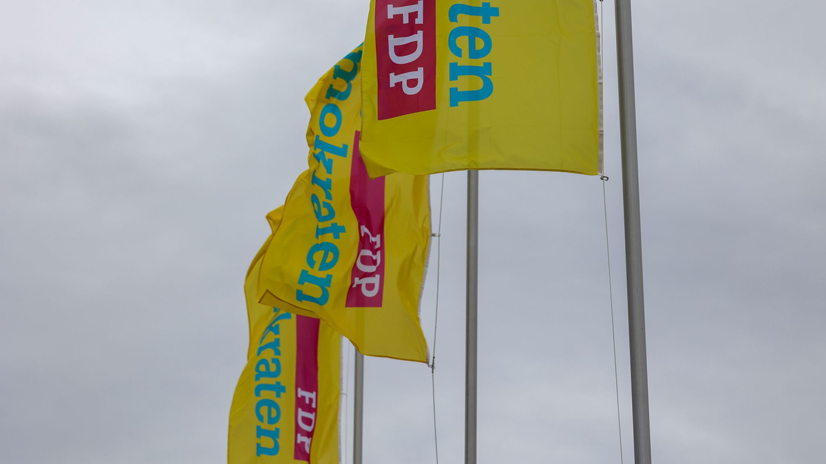 Wie geht es mit der schwarz-rot-gelben Koalition in Sachsen-Anhalt weiter? (Archivbild) - Foto: Peter Gercke/dpa