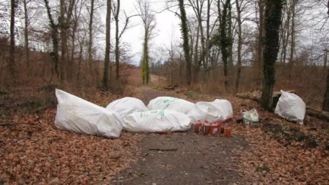 POL-KA: (KA) Bretten - Illegal entsorgter Müll - Zeugen gesucht - Bild: presseportal.de