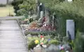 Friedhof (Archiv) - Foto: via dts Nachrichtenagentur