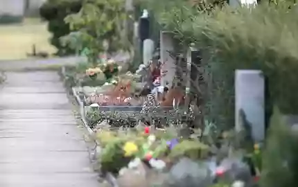 Friedhof (Archiv) - Foto: via dts Nachrichtenagentur