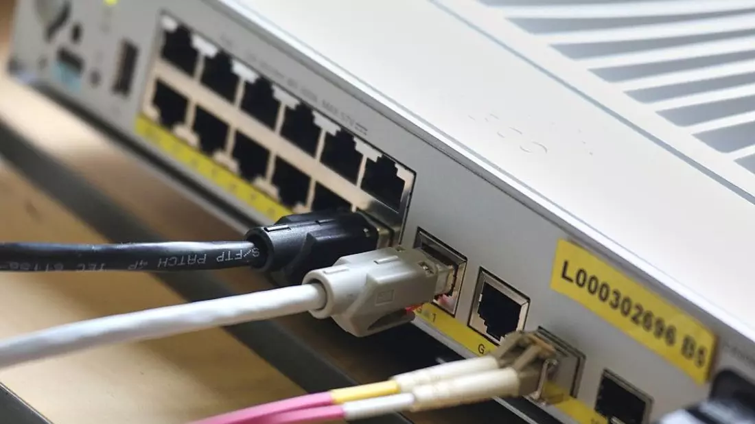 Netzwerk-Patchpanel (Archiv) - Bild: via dts Nachrichtenagentur