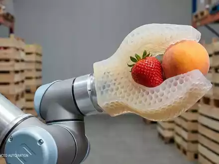 Fraunhofer-IAPT-Cobot: Sanfte Roboterhand für empfindliches Obst - Foto: über boerse-global.de