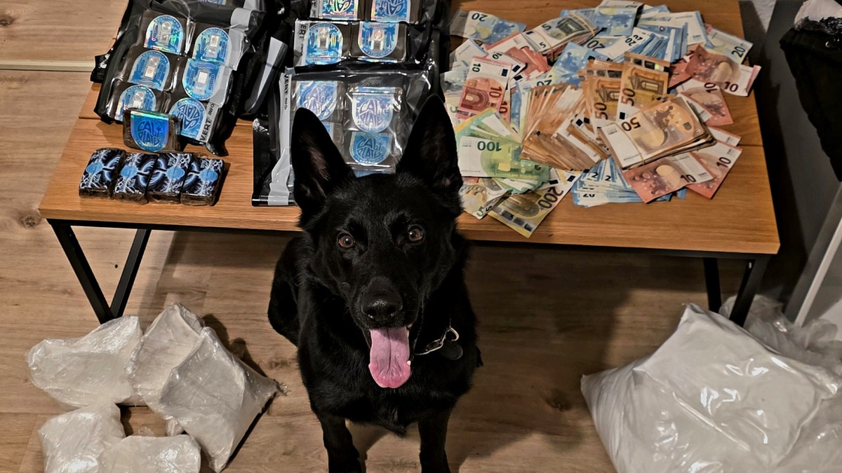 POL-OF: Verdacht des Handeltreibens mit Cannabis: Zwei Tatverdächtige in Untersuchungshaft - Foto: presseportal.de