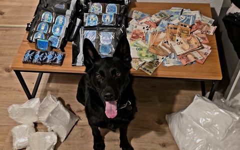 POL-OF: Verdacht des Handeltreibens mit Cannabis: Zwei Tatverdächtige in Untersuchungshaft - Foto: presseportal.de