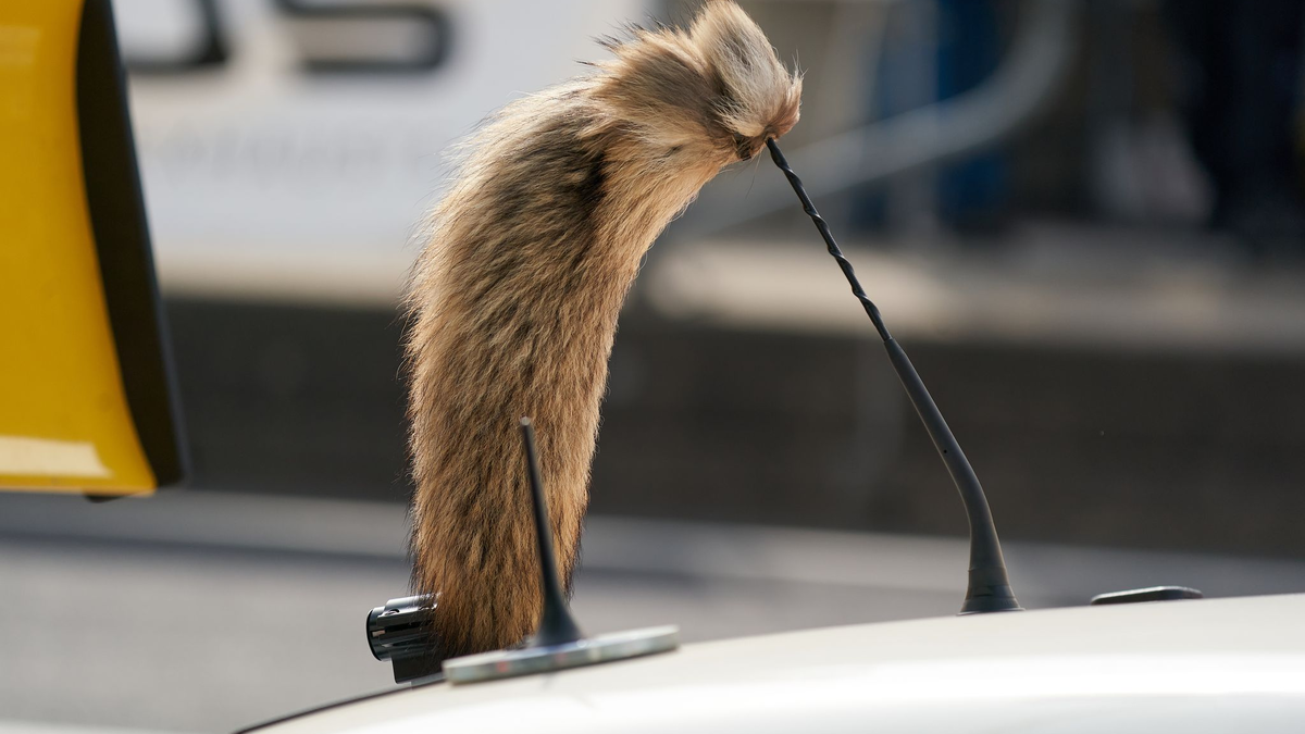 Der Fuchsschanz war für viele Fahrer des Opel Manta unverzichtbar.  - Foto: Thomas Frey/dpa