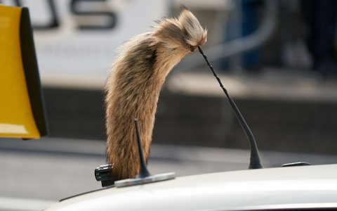 Der Fuchsschanz war für viele Fahrer des Opel Manta unverzichtbar.  - Foto: Thomas Frey/dpa