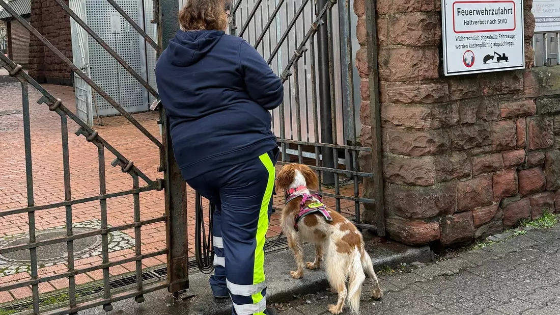 Auch mit Hilfe eines Hundes wurde der Junge gesucht. - Bild: Isabell Scheuplein/dpa