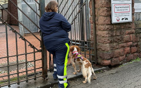 Auch mit Hilfe eines Hundes wurde der Junge gesucht. - Foto: Isabell Scheuplein/dpa
