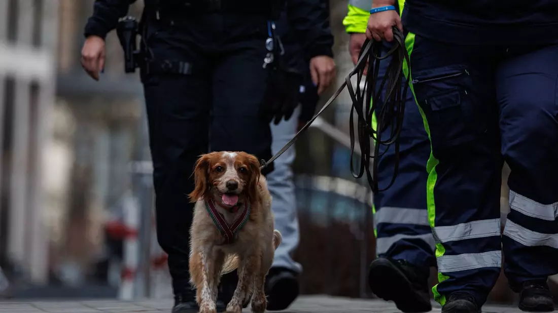 Auch ein Hund war bei der Suche im Einsatz. - Bild: Hannes P. Albert/dpa