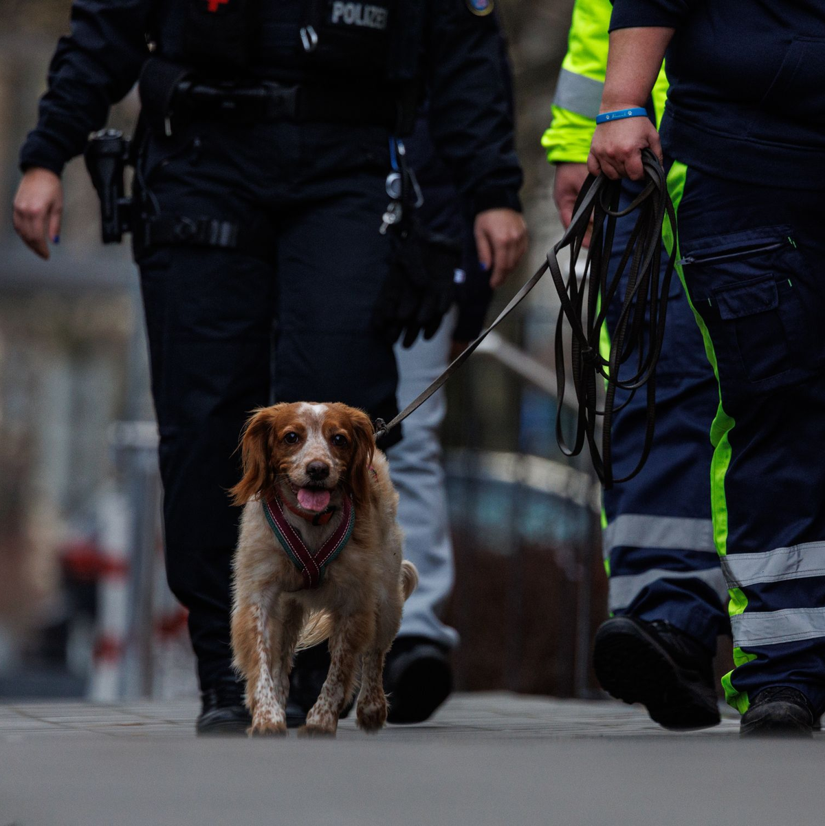 Die Polizei hat das Schulgelände mehrfach durchsucht. - Foto: Hannes P. Albert/dpa