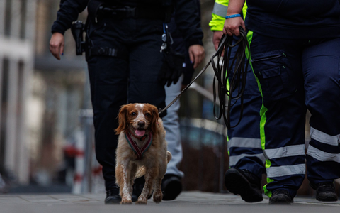Auch ein Hund war bei der Suche im Einsatz. - Foto: Hannes P. Albert/dpa