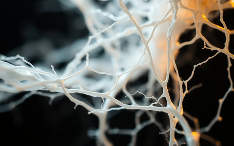 Faszien-Training: Bindegewebe wird zum Fitness-Star - Foto: über boerse-global.de