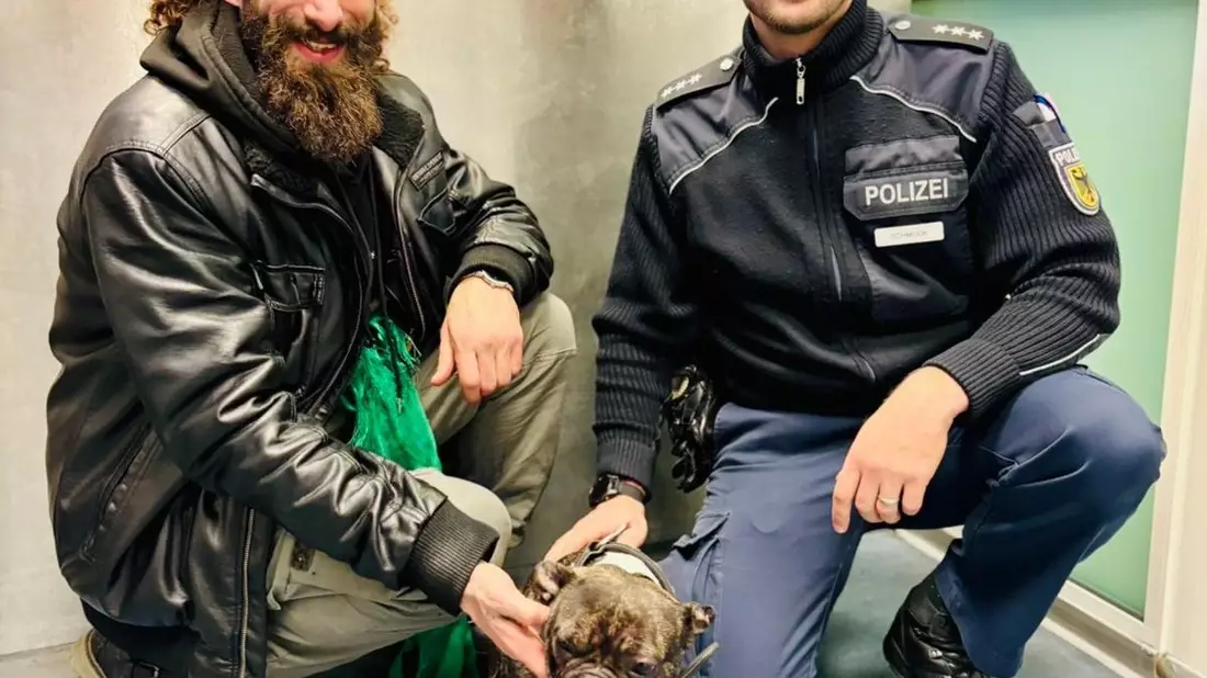 BPOL-HH: Einsatz am Hamburger Hauptbahnhof: Französische Bulldogge Candy sicher zurück bei seinem Besitzer - Bild: presseportal.de