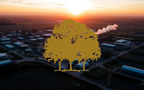 Diverging Signals: Canopy Growth Faces Analyst Caution and Options Optimism - Foto: über boerse-global.de