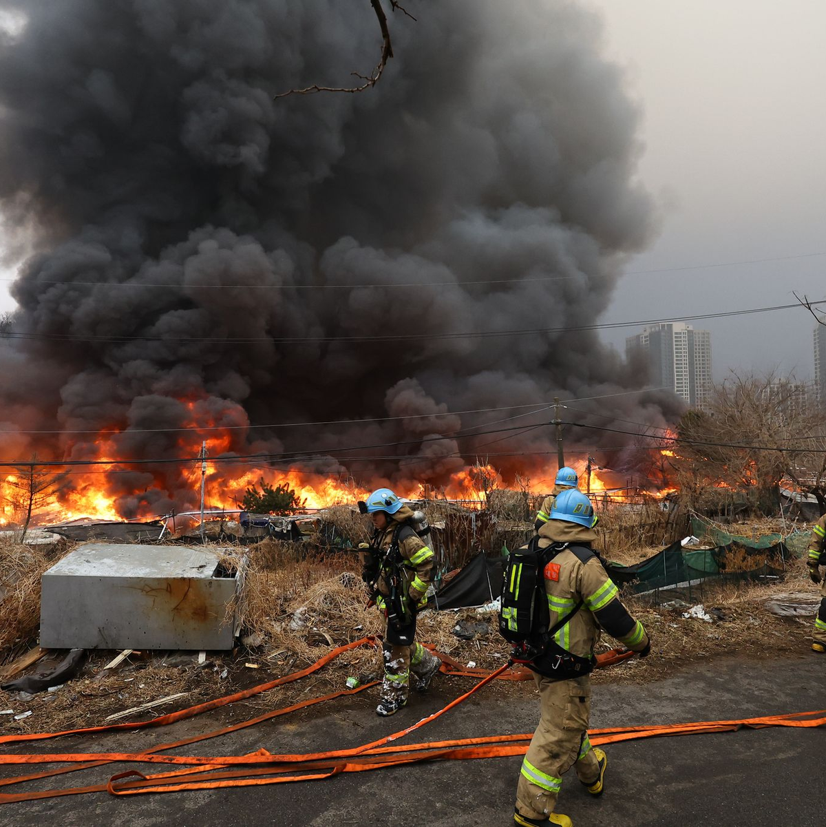 Über 1.200 Einsatzkräfte waren gegen die Flammen im Einsatz. - Foto: Choi Jin-seok/Newsis/dpa