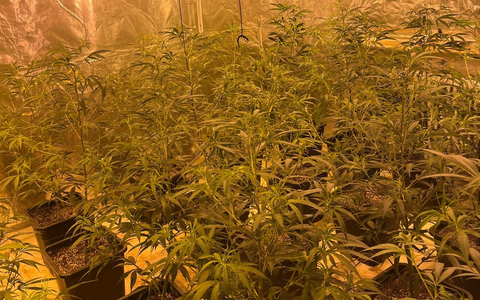 POL-REK: 260116-2: Polizisten stellten mehrere Kilogramm Marihuana sicher - Foto: presseportal.de