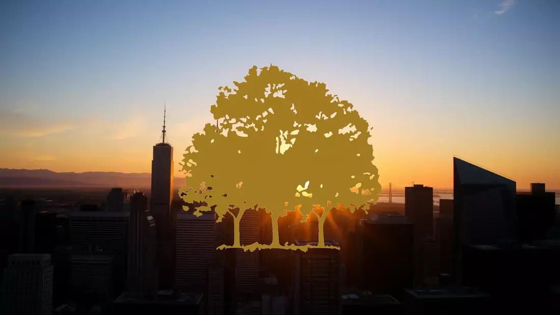 Speculative Bets Surge on Canopy Growth Amid Financial Uncertainty - Bild: über boerse-global.de