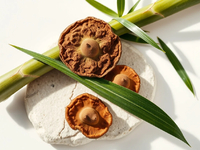 Bamboo und Reishi: Wissenschaft bestätigt traditionelle Heilpflanzen - Foto: über boerse-global.de