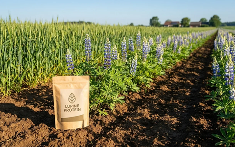 Süßlupine wird zum Superfood des Jahres 2026 gekürt - Foto: über boerse-global.de