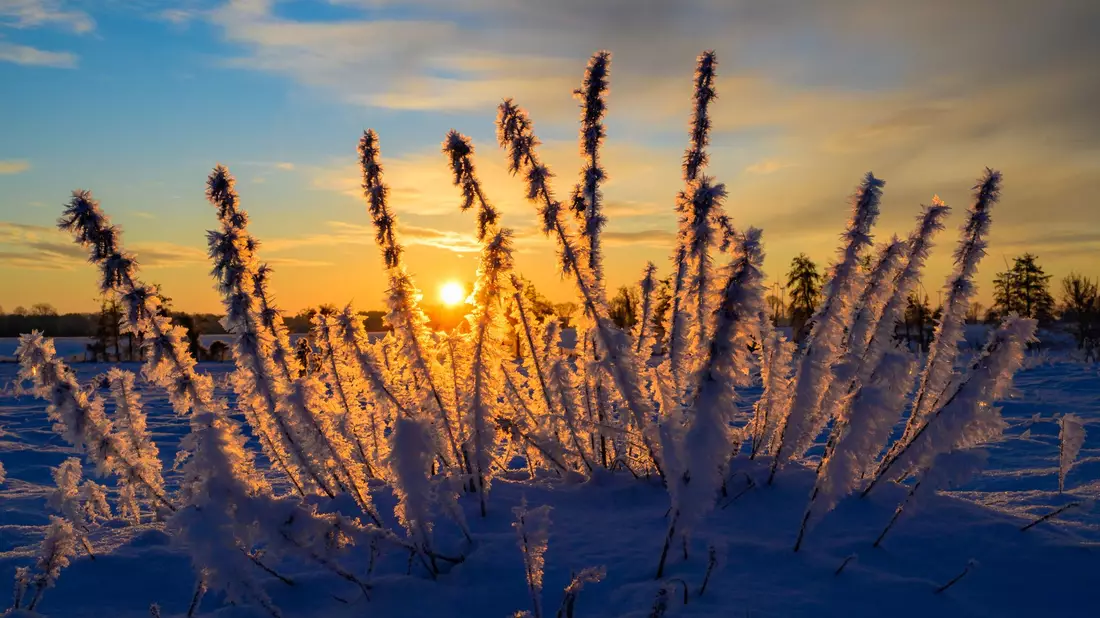 Sonne und kalte Luft erwarten die Meteorologen zum Wochenbeginn. (Archivbild) - Bild: Patrick Pleul/dpa