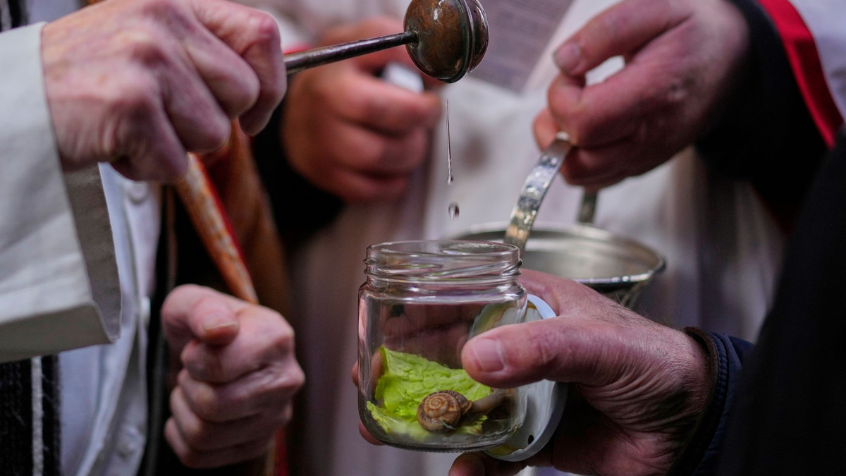 Vor allem Hunde und Katzen werden von ihren Haltern zur Segnung vor der Kirche San Antón in Madrid gebracht. - Foto: Manu Fernandez/AP/dpa