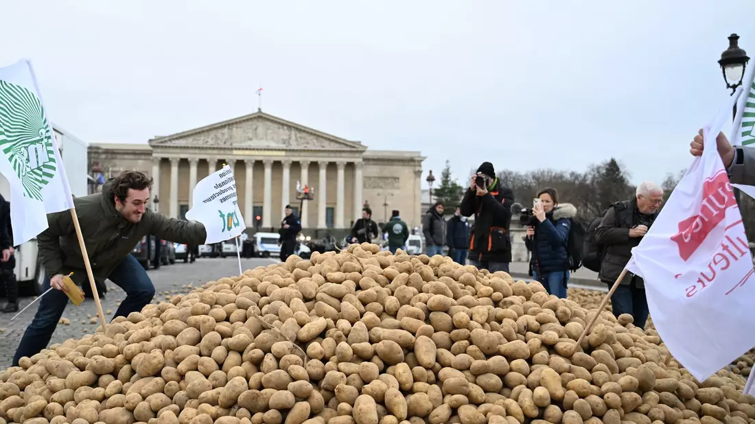 Europäische Bauern fürchten einen harten Preiskampf mit den südamerikanischen Farmern. (Archivbild) - Bild: Emma Da Silva/AP/dpa