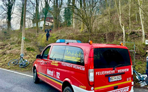 FW Weinheim: Fahrradfahrer verletzt sich nach Sturz in Rippenweier - Foto: presseportal.de