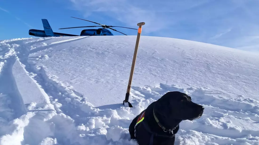 Auch Hunde waren nach dem Lawinenabgang am Finsterkopf im Einsatz.  - Bild: Unbekannt/HUNDESTAFFEL BERGRETTUNG/APA/dpa
