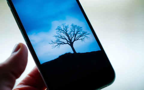 Social Media: Experten fordern bewussteren Umgang für mentale Gesundheit - Foto: über boerse-global.de