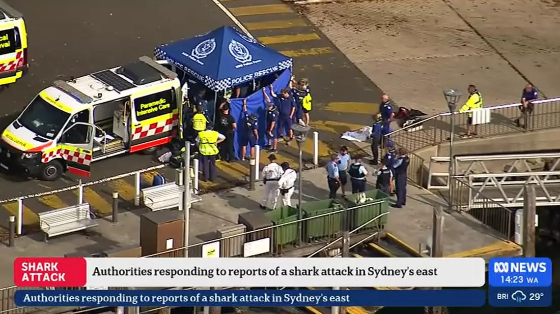 Nach einem mutmaßlichen Haiangriff ist ein Junge in kritischem Zustand. - Bild: Supplied/AUSTRALIAN BROADCASTING CORPORATION (ABC) via AAP Image/dpa