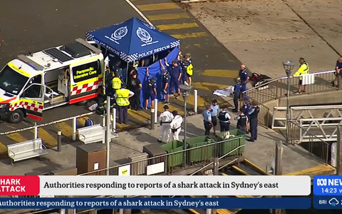 Nach einem mutmaßlichen Haiangriff ist ein Junge in kritischem Zustand. - Foto: Supplied/AUSTRALIAN BROADCASTING CORPORATION (ABC) via AAP Image/dpa