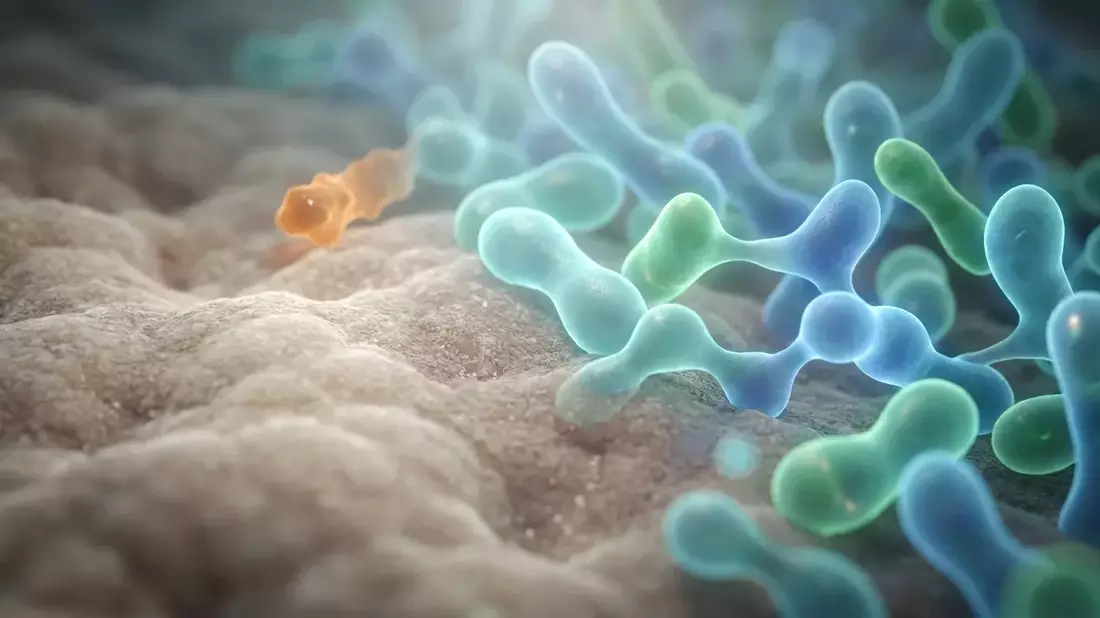 Darmflora braucht bis zu sechs Monate für Erholung nach Antibiotika - Bild: über boerse-global.de