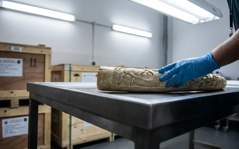 Operation Thunder 2025 schlägt weltweit gegen Wildtier-Schmuggler zu - Foto: über boerse-global.de