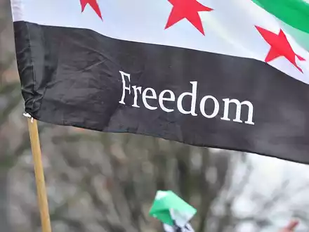 Syrer in Deutschland feiern den Sturz von Assad in Syrien (Archiv) - Foto: via dts Nachrichtenagentur