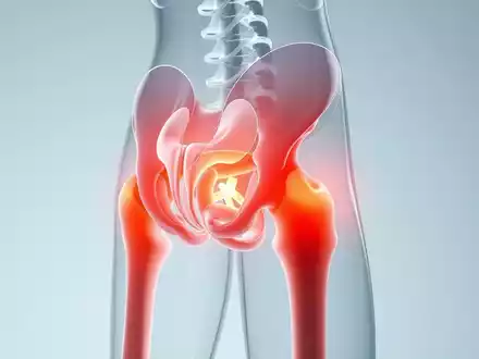 Hüftgesundheit: Krafttraining schlägt reines Dehnen - Foto: über boerse-global.de