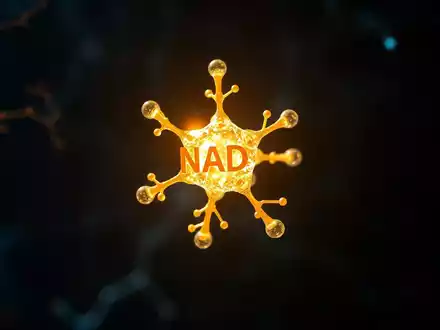 NAD+-Forschung stellt Alzheimer-Dogma in Frage - Foto: über boerse-global.de
