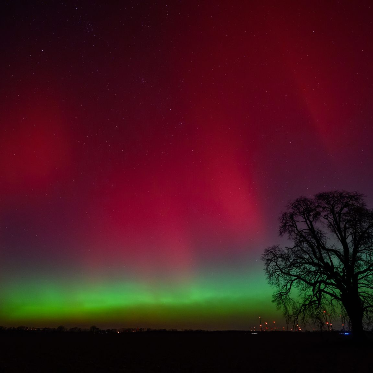 Polarlichter leuchten am Nachthimmel über der Landschaft im östlichen Brandenburg. - Foto: Patrick Pleul/dpa
