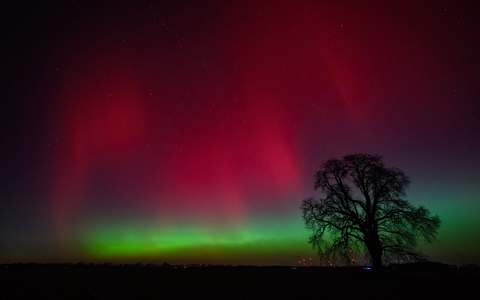 Polarlichter leuchten am Nachthimmel über der Landschaft im östlichen Brandenburg. - Foto: Patrick Pleul/dpa
